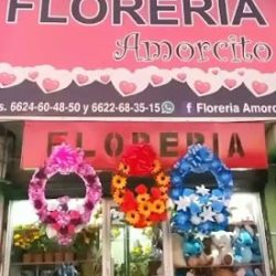 Floreria Amorcito