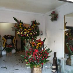 Florería Ana