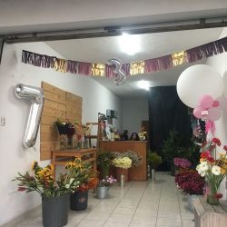 Florería Anacor