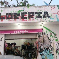Florería Anahi