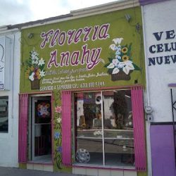 Floreria Anahy