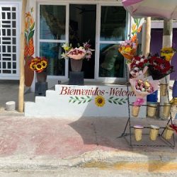 Floreria Analleli Sayulita 2