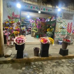 Floreria Analleli Sayulita