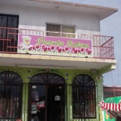 Floreria Andrea