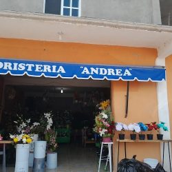 Florería Andrea