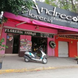 Florería Andree