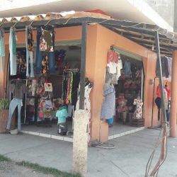 Florería Anel