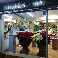 Florería Aneliz