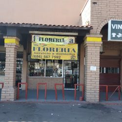 Floreria Aneth