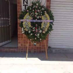 Floreria Angel David