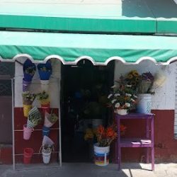 Floreria Ángel Uruapan Michoacán
