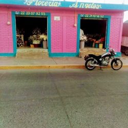 Floreria Angeles