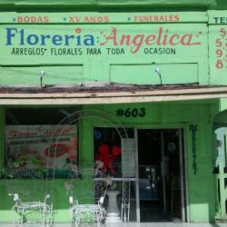 Floreria Angelica
