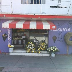 Floreria Angelica