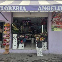 Florería Angelito