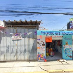 Floreria Angie Suc. San Andrés Cholula