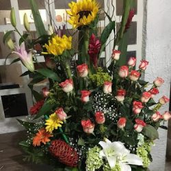 Floreria Anita