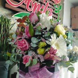 Floreria Anita