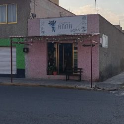 Floreria Anna