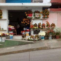 Floreria Annel