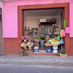Floreria Anneliese