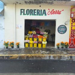 Florería Anrru