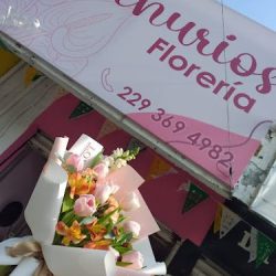 Florería Anthurios