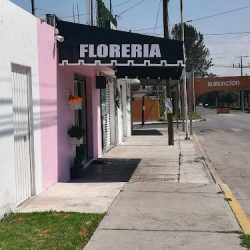 Florería Anthurios