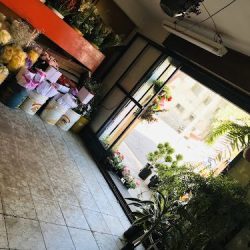 Florería Anturio Canatlan