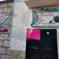 Floreria Anturios