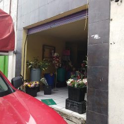 Florería Anturios