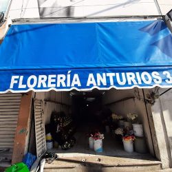 Florería "anturios"