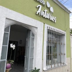 Florería Anturios
