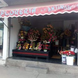 Floreria Anturios