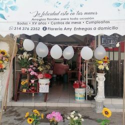 Floreria Any