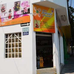 Florería Aranzazú