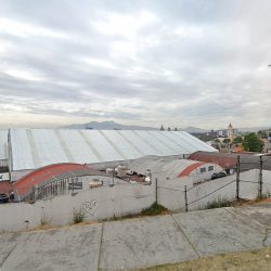 Florería Araujo