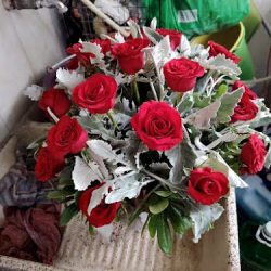 Floreria Arboledas
