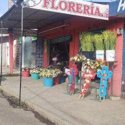 Floreria Aries