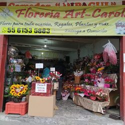 FlorerÍa Art-carola