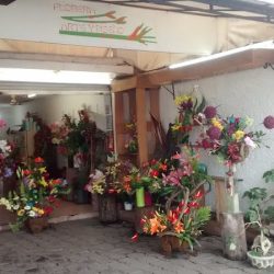Floreria Arte Y Diseño