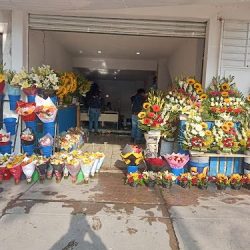 Florería Artemisa