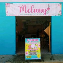 Floreria Artes Y Diseños Melany