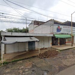 Florería Arvi