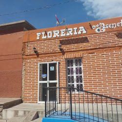 Floreria Aseneth