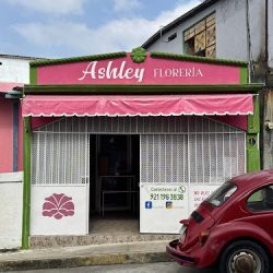 Florería Ashley