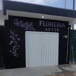 Florería Aster