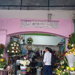 Florería Aster Xalapa