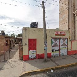 Florería Astromelia