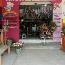 Floreria Astromelia